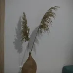Aeraki Apartment